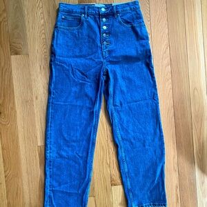 NWT Everlane The Way High Jean
